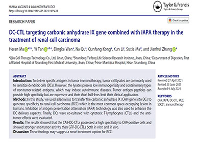 【喜讯】齐鲁细胞马贺然博士团队DC-CTL相关的研究成果发表于国际著名SCI期刊