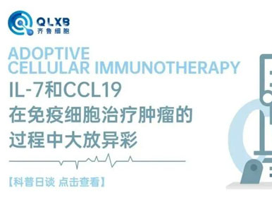 科普日谈丨IL-7和CCL19在免疫细胞治疗肿瘤的过程中大放异彩