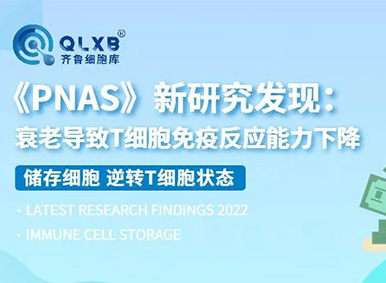 为什么要冻存免疫细胞？《PNAS》新研究发现：衰老导致T细胞免疫反应能力下降