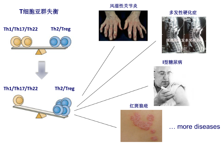  成人脂肪干细胞存储