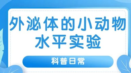 科普日常 | 揭“泌”-外泌体的小动物水平实验