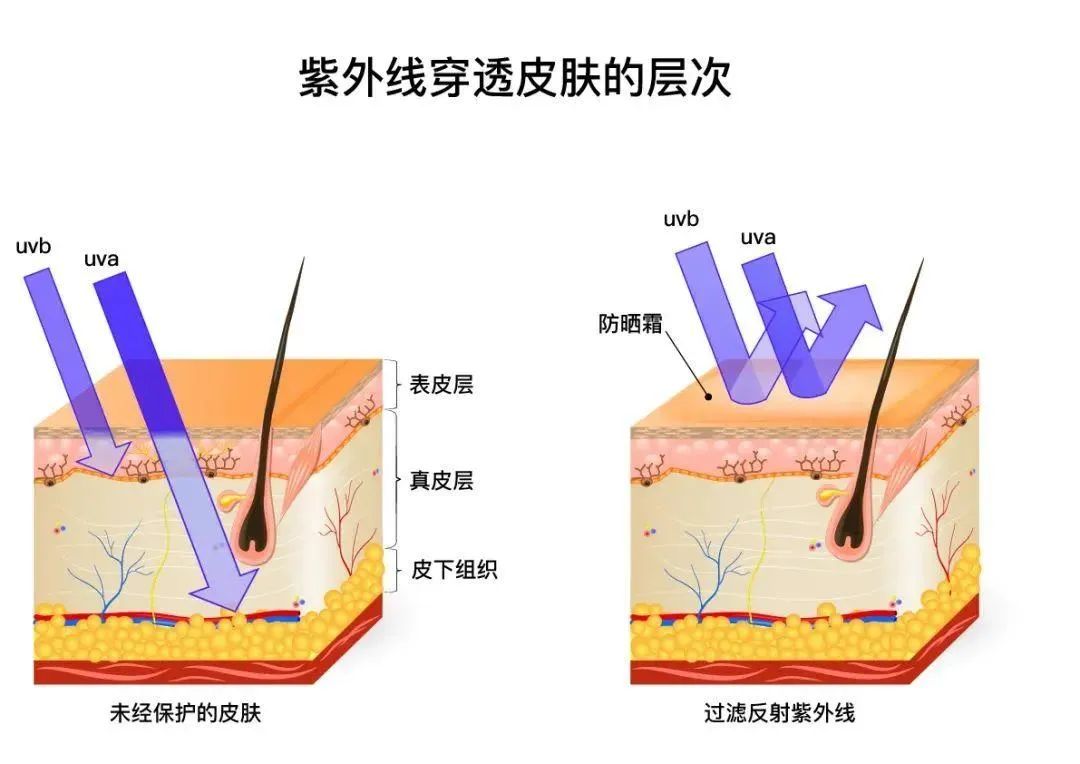 外泌体护肤品