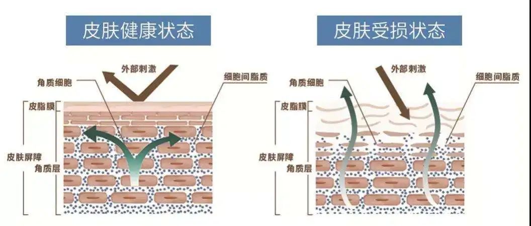 生物护肤品