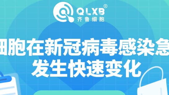 多项研究发现，NK细胞在新冠病毒感染急性期发生快速变化！提前储存意义重大！