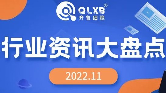 政策汇总 | 2022年11月行业内政策及资讯大盘点