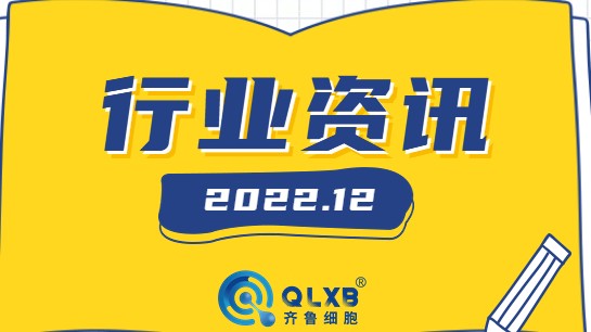 行业资讯 | 12月行业政策、动态汇总