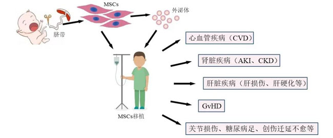 微信图片_20200424091841