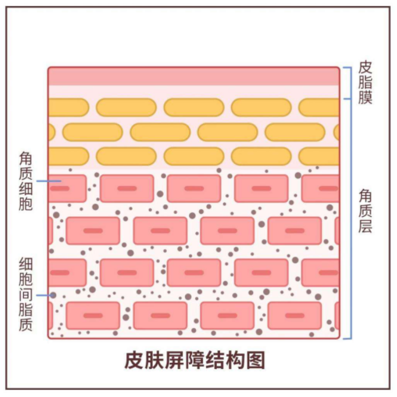 成人脂肪干细胞储存